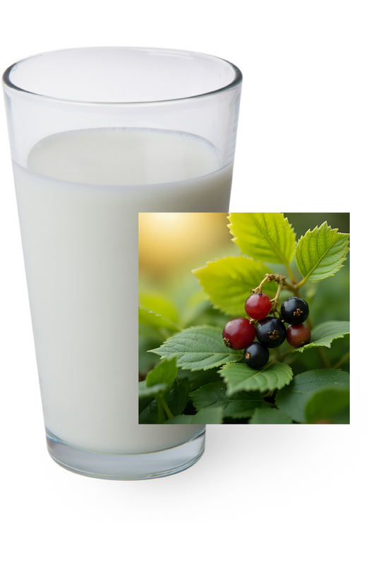 SHROOMILK-BERRIES