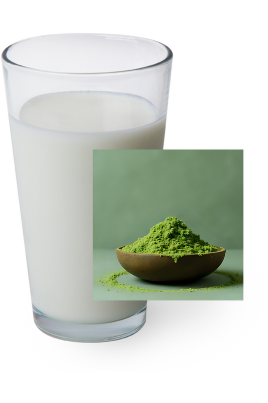 SHROOMILK-MATCHA