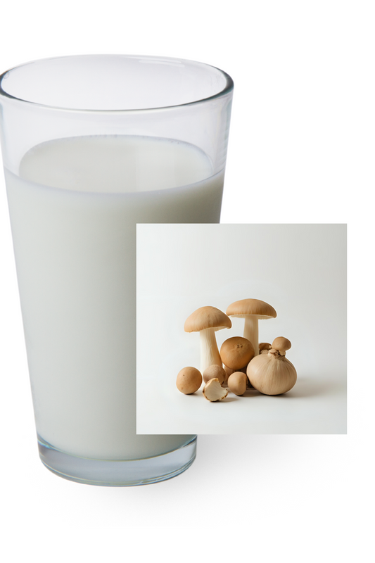 SHROOMILK-ORIGINAL MUSHROOMY